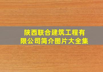 陕西联合建筑工程有限公司简介图片大全集