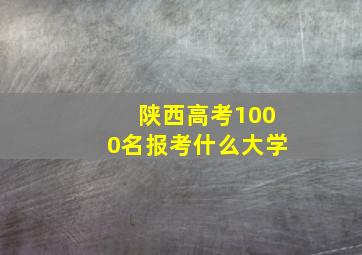 陕西高考1000名报考什么大学