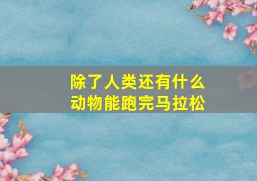 除了人类还有什么动物能跑完马拉松