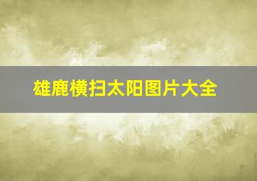 雄鹿横扫太阳图片大全