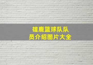 雄鹿篮球队队员介绍图片大全