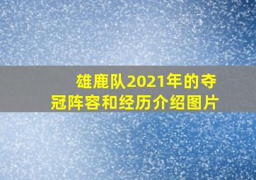 雄鹿队2021年的夺冠阵容和经历介绍图片