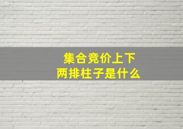 集合竞价上下两排柱子是什么