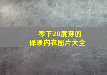 零下20度穿的保暖内衣图片大全