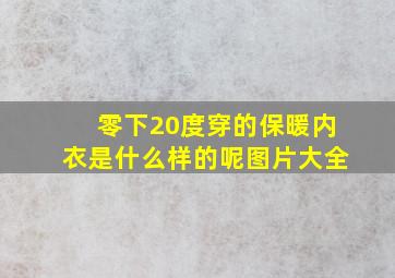 零下20度穿的保暖内衣是什么样的呢图片大全