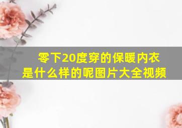 零下20度穿的保暖内衣是什么样的呢图片大全视频