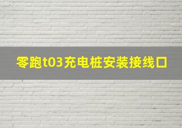 零跑t03充电桩安装接线口