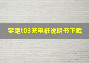 零跑t03充电桩说明书下载