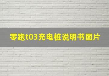 零跑t03充电桩说明书图片