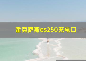 雷克萨斯es250充电口