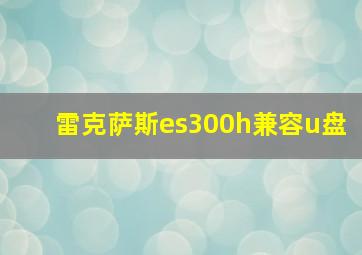 雷克萨斯es300h兼容u盘