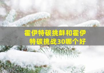 霍伊特碳挑衅和霍伊特碳挑战30哪个好