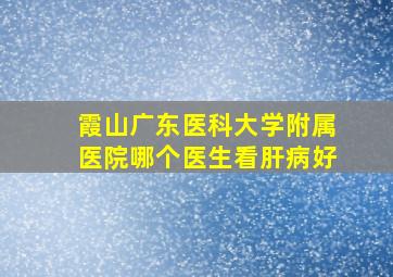 霞山广东医科大学附属医院哪个医生看肝病好