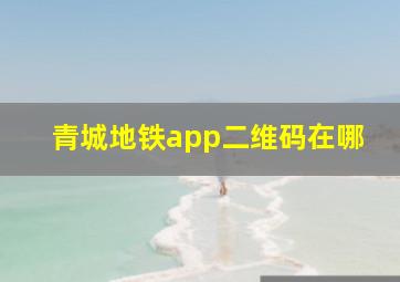 青城地铁app二维码在哪