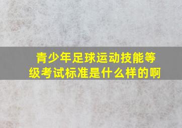 青少年足球运动技能等级考试标准是什么样的啊