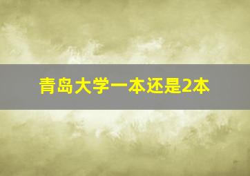 青岛大学一本还是2本