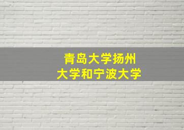 青岛大学扬州大学和宁波大学