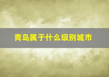 青岛属于什么级别城市