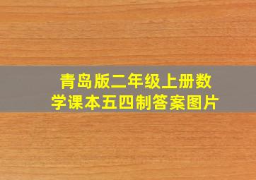 青岛版二年级上册数学课本五四制答案图片