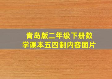 青岛版二年级下册数学课本五四制内容图片