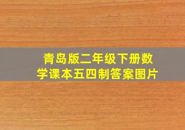 青岛版二年级下册数学课本五四制答案图片