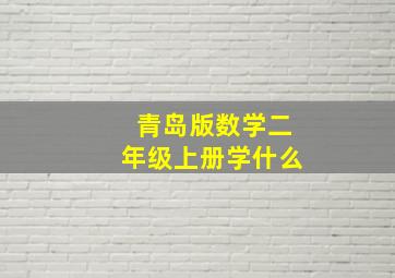 青岛版数学二年级上册学什么