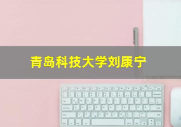 青岛科技大学刘康宁