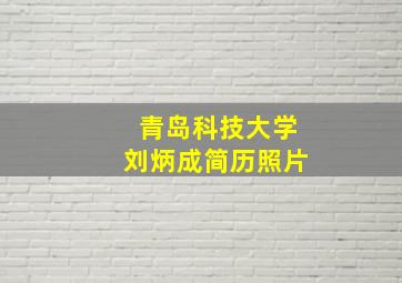 青岛科技大学刘炳成简历照片