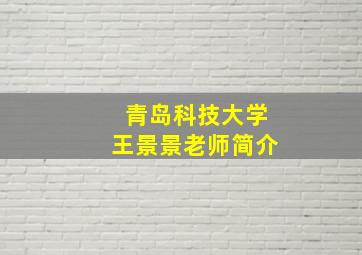 青岛科技大学王景景老师简介