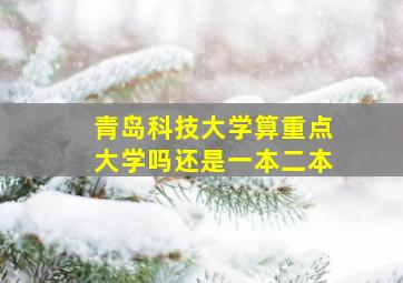 青岛科技大学算重点大学吗还是一本二本