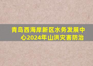 青岛西海岸新区水务发展中心2024年山洪灾害防治