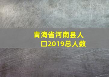 青海省河南县人口2019总人数