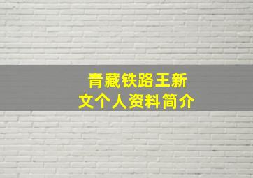 青藏铁路王新文个人资料简介