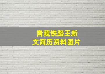 青藏铁路王新文简历资料图片