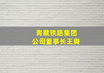 青藏铁路集团公司董事长王奭