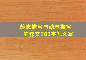 静态描写与动态描写的作文300字怎么写