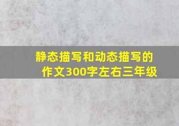 静态描写和动态描写的作文300字左右三年级