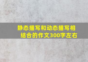 静态描写和动态描写相结合的作文300字左右