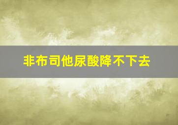 非布司他尿酸降不下去