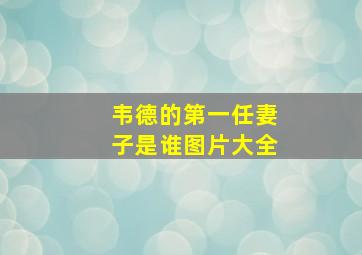 韦德的第一任妻子是谁图片大全