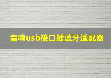 音响usb接口插蓝牙适配器