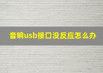 音响usb接口没反应怎么办