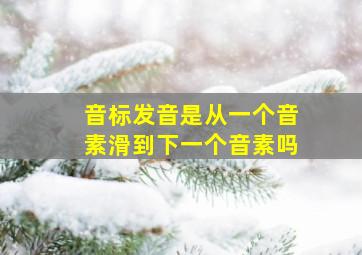 音标发音是从一个音素滑到下一个音素吗