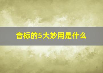 音标的5大妙用是什么