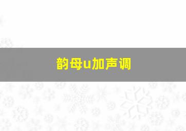 韵母u加声调