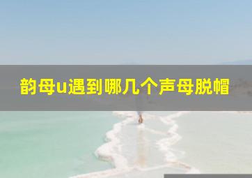 韵母u遇到哪几个声母脱帽