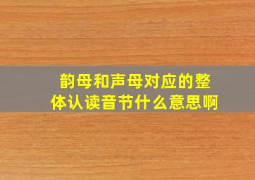 韵母和声母对应的整体认读音节什么意思啊