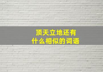 顶天立地还有什么相似的词语