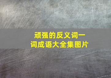 顽强的反义词一词成语大全集图片