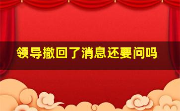 领导撤回了消息还要问吗